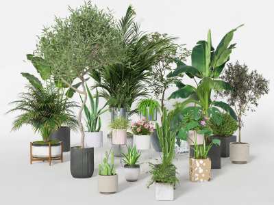 绿植盆栽3D模型下载